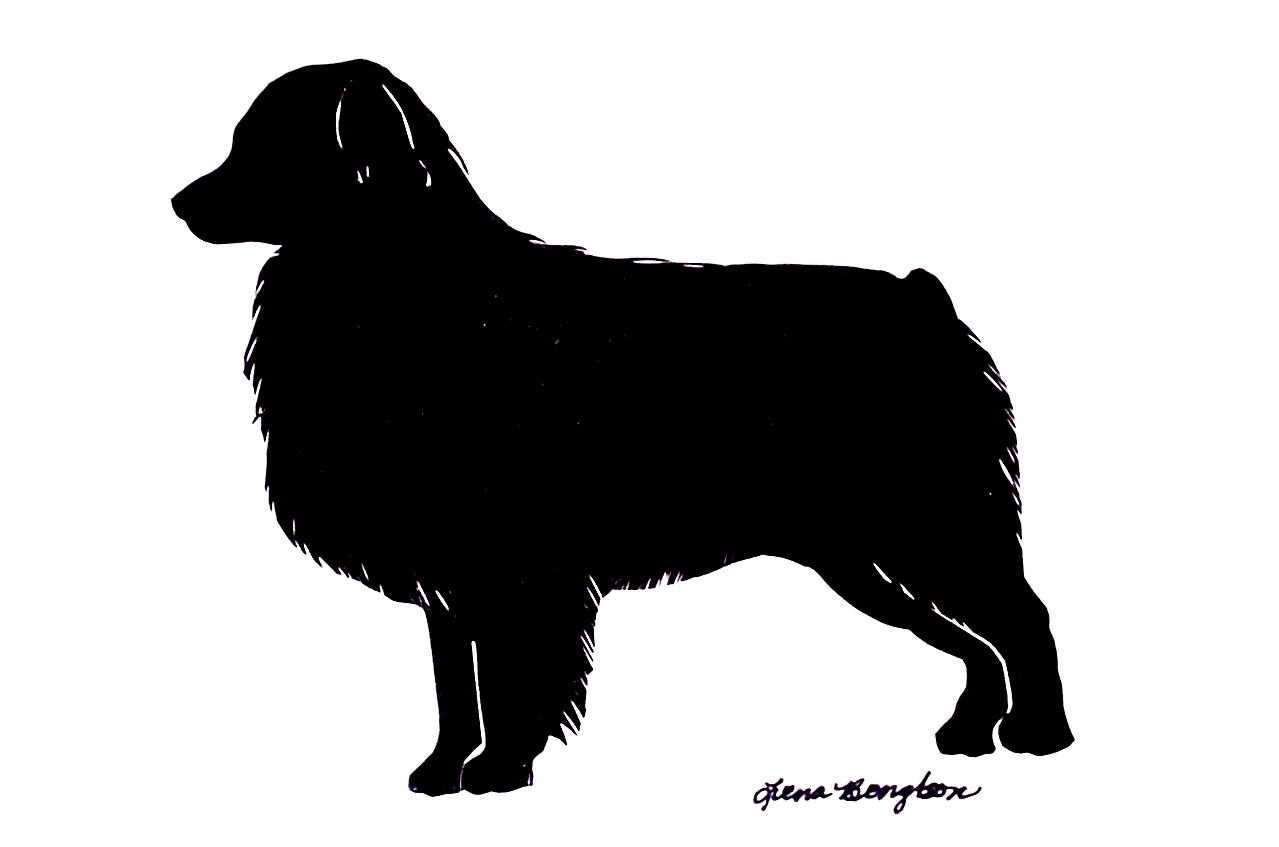 1279x847 Australian Shepherd Clipart Black And White