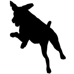 240x240 Search Photos German Shorthaired Pointer Dog