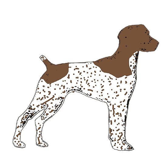 German Shorthaired Pointer Silhouette at GetDrawings | Free download
