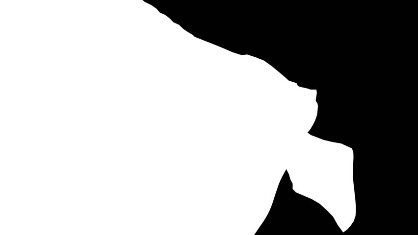 852x480 Free Germany Flag Stock Video Footage Download 4k Amp Hd Clips