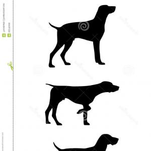 300x300 Stock Illustration The Black Silhouette Of A Createmepink