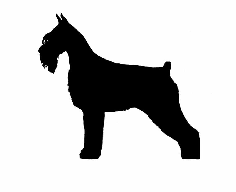 762x619 Giant Schnauzer Silhouette Vinyl Sticker Decal