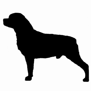 300x300 Products Page 31