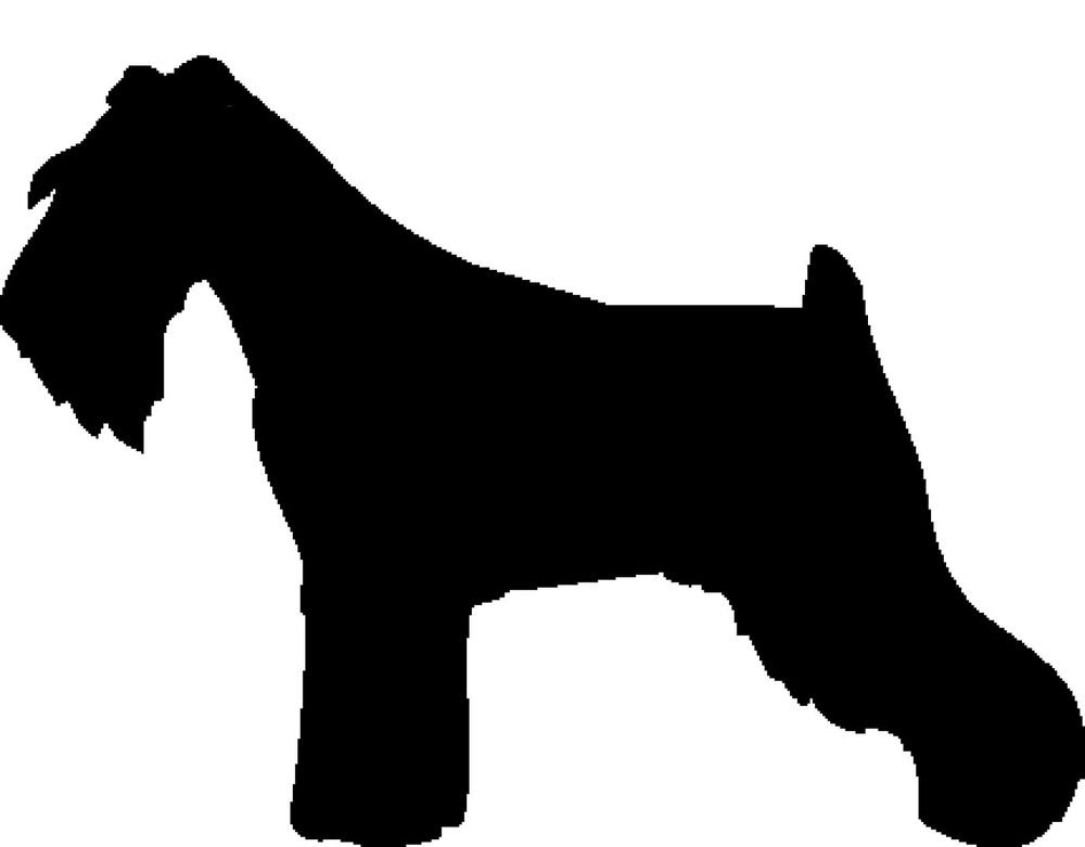 1000x781 Schnauzer Dog Car Stickers Ebay