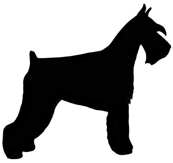 572x540 Silhouette Schnauzer Mom Silhouette And Dog
