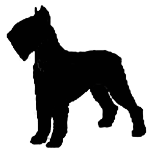 300x300 Schnauzer Giant Silhouette