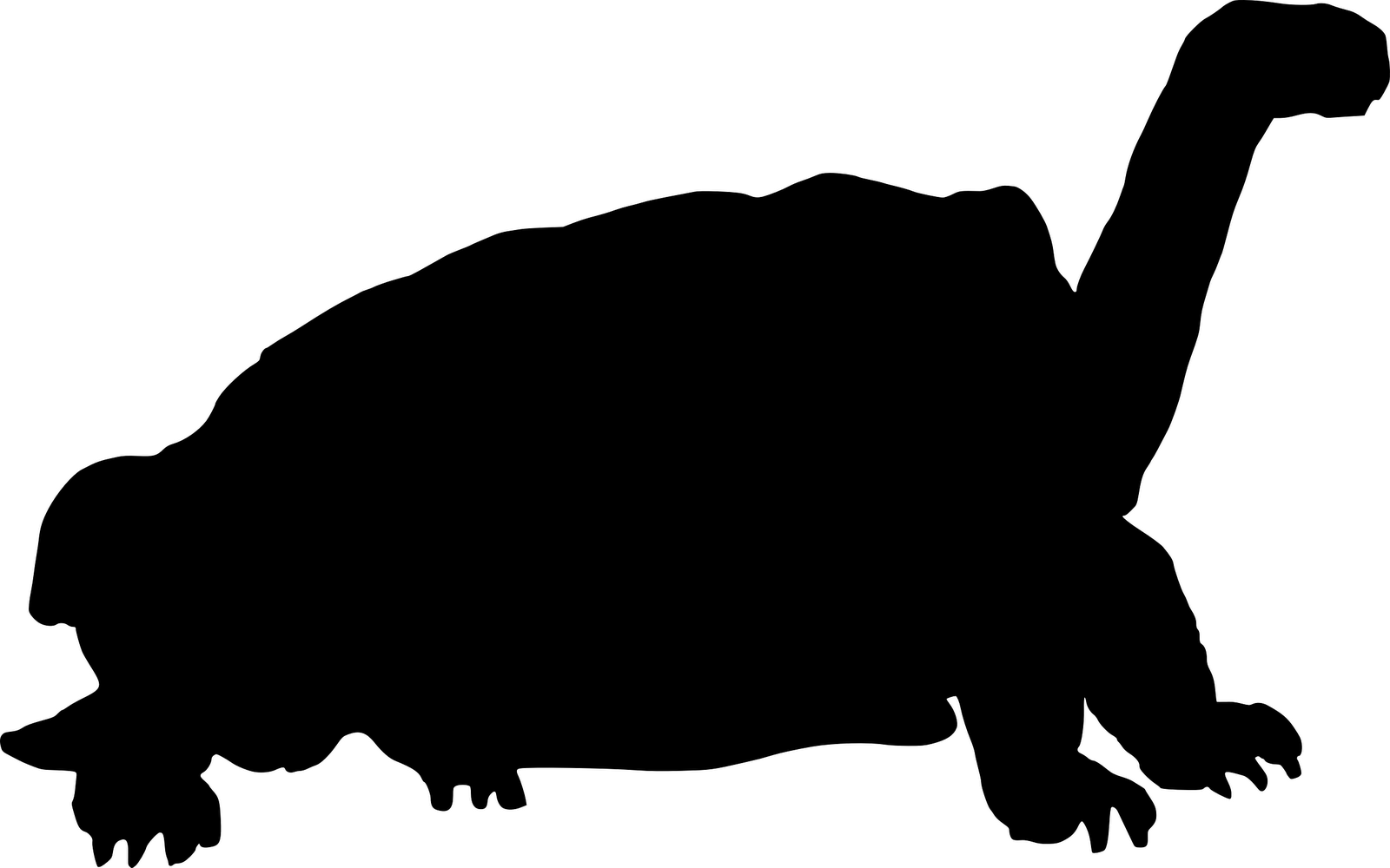1600x1000 Tortoise Silhouette Clipart Panda
