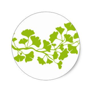 324x324 Image Result For Gingko Silhouette Flowers And Flower Pots
