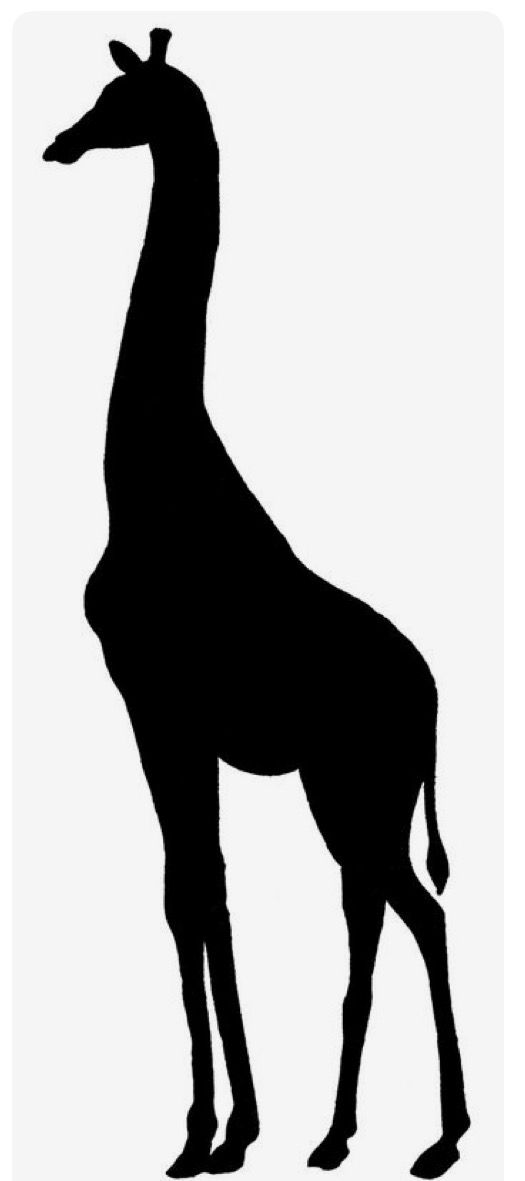 525x1181 Pin By Tammy Hall On Stencils Animal Silhouette