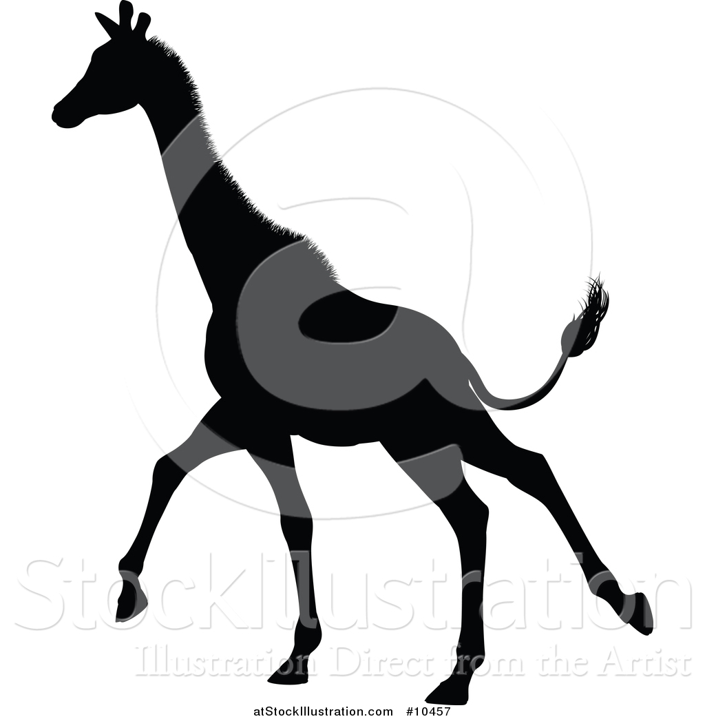 1024x1044 Vector Illustration Of A Black Silhouetted Giraffe Running By
