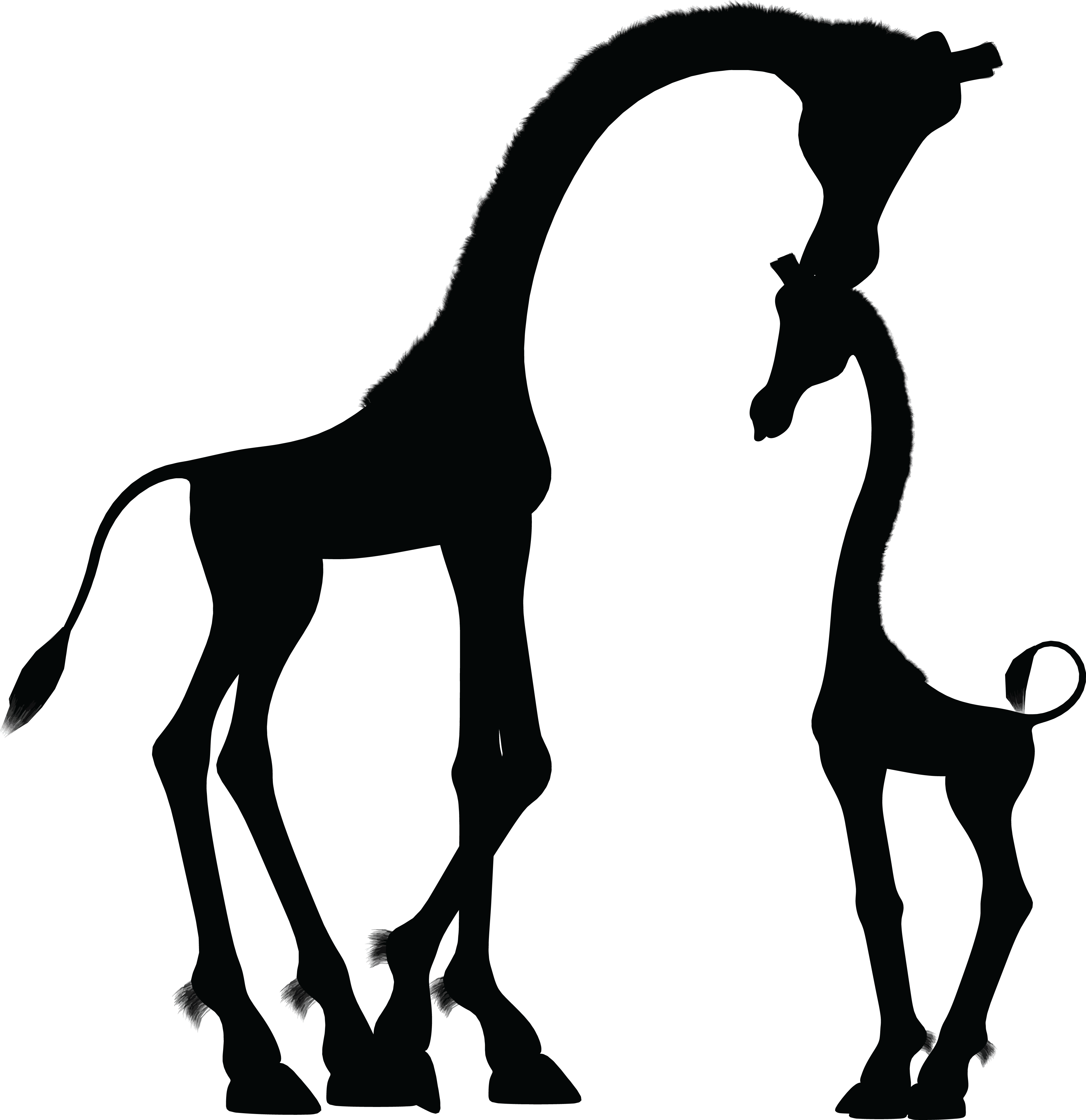 4000x4124 Free Clipart Of A Silhouetted Mother And Baby Giraffe