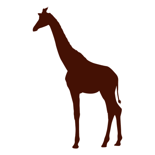 512x512 Free Vector Giraffe