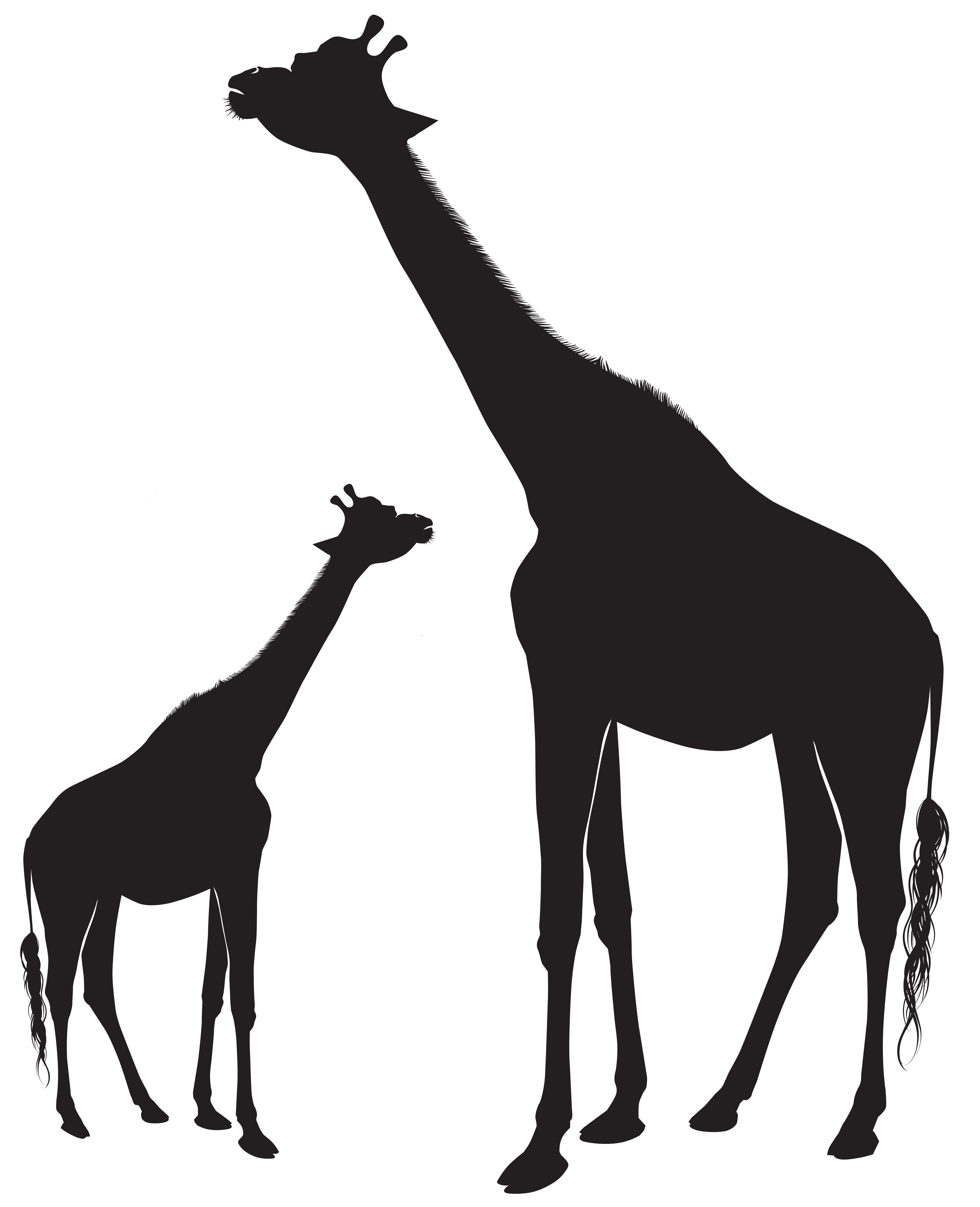 Download Giraffe Head Silhouette at GetDrawings.com | Free for ...