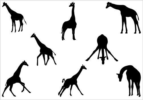 502x352 Giraffe Silhouette Vector Graphics