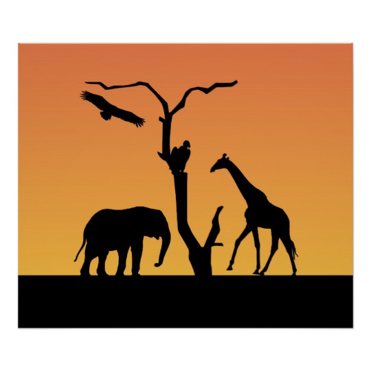 540x540 Elephant Amp Giraffe Silhouette Poster, Print