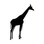 150x150 Giraffe Silhouette Royalty Free Vector Clip Art Image
