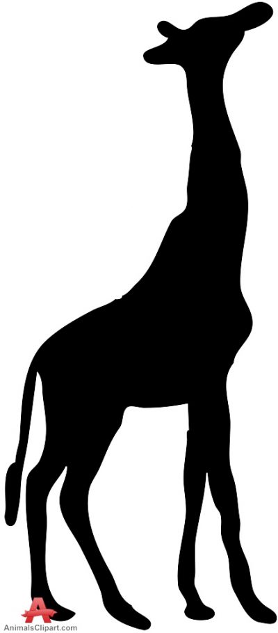 400x910 Giraffes Animals Clipart Gallery Free Downloads By Animals Clipart