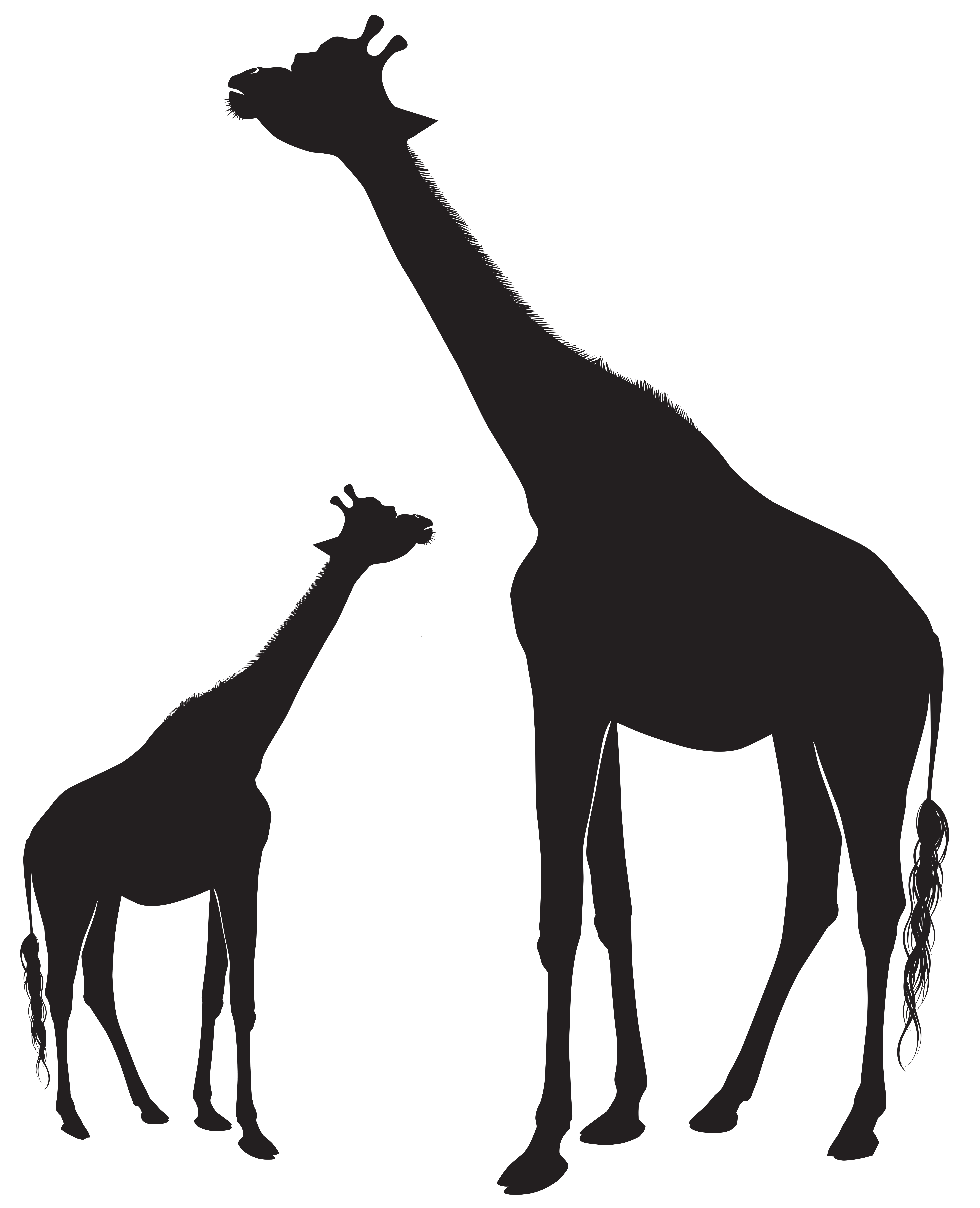 6495x8000 Giraffes Silhouette Png Clip Art Imageu200b Gallery Yopriceville