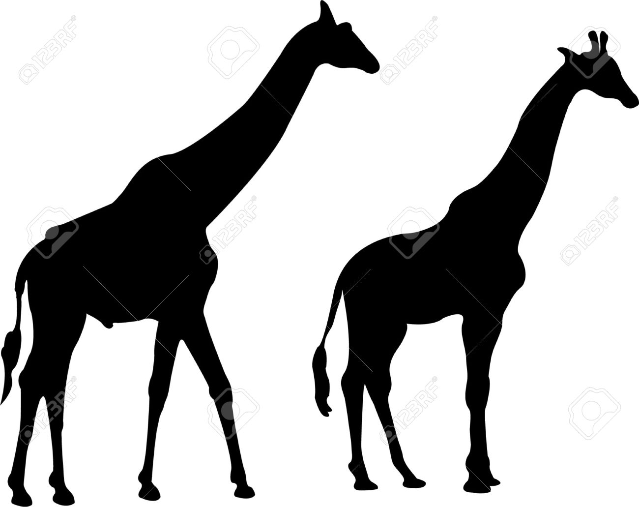 1300x1031 Shadows Clipart Giraffe
