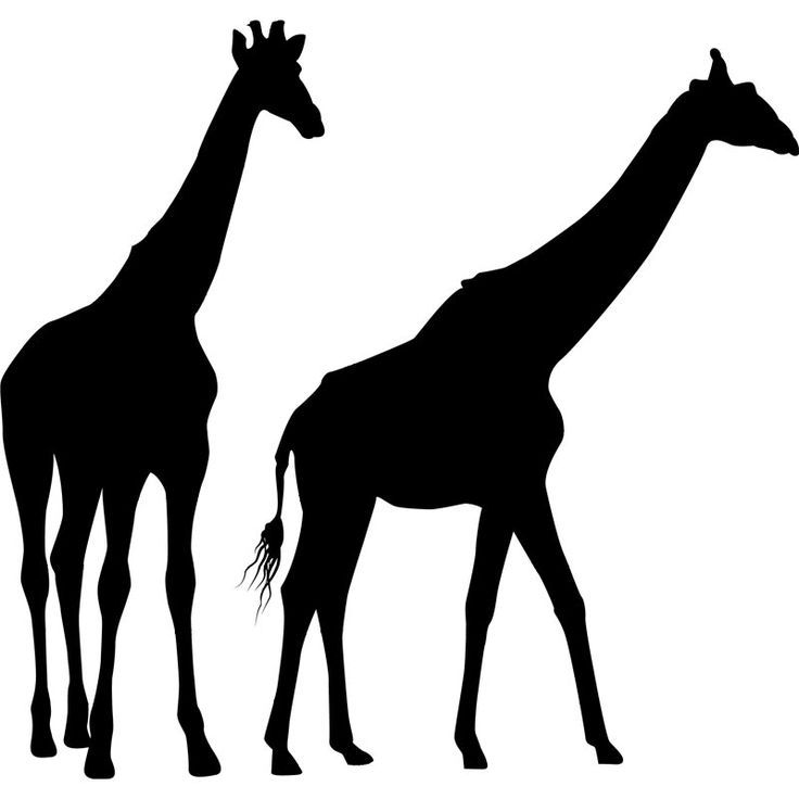 736x736 Giraffe Silhouette African Christmas Giraffe