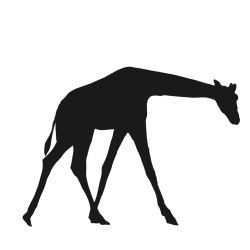 250x250 Giraffe Silhouette Silhouettes Giraffe Silhouette