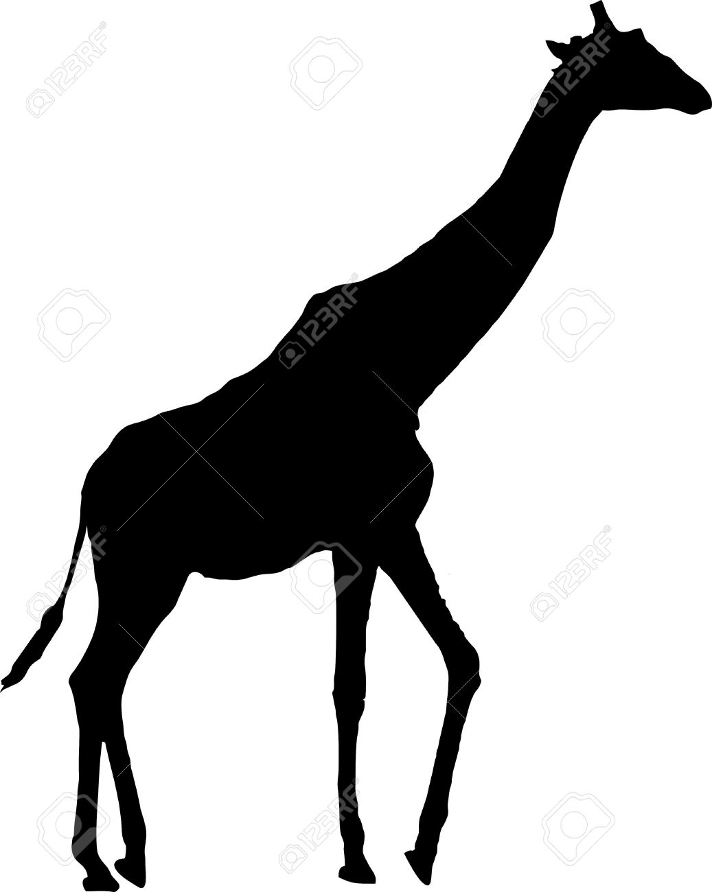 1037x1300 Best Giraffe Silhouette