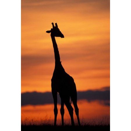 450x450 Pin By Michelle Alexander Leblanc On Backgrounds Amp Wallpapers