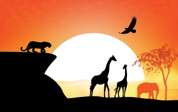 600x380 Sunset View Of Safari