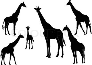 320x228 Stylized Giraffe Vector Illustration. Elegant Animal Tattoo