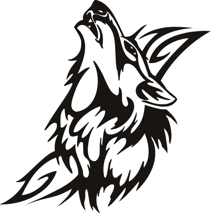 736x742 Tribal Animals Collection