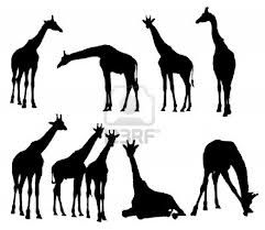 241x209 Giraffe Silhouette Tattoos And Piercings