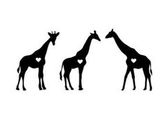 236x187 Detailed Silhouettes Set Of Giraffe Poses And Actions. Giraffe