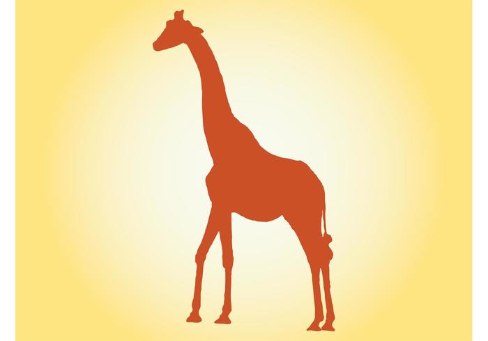 700x490 Giraffe Free Vector Art
