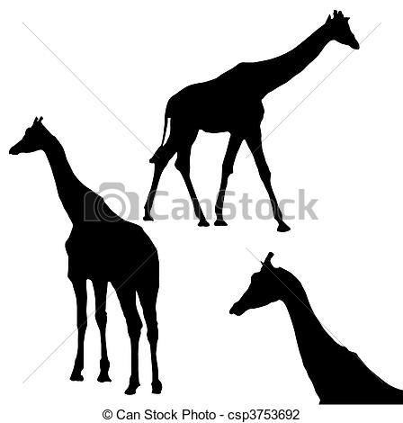 448x470 Giraffe Silhouettes. Illustration Of Silhouettes Of Giraffes