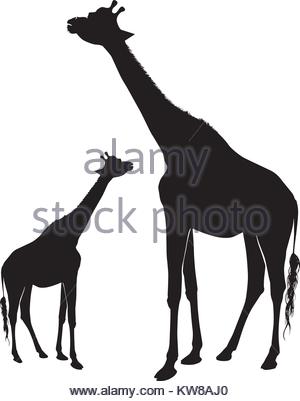 300x401 Silhouette Elephant Tiger Bear Giraffe Flamingo Pelican Goose On