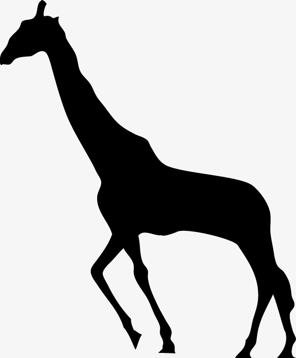 582x704 Giraffe, Animal Silhouettes, Animal Png Image And Clipart For Free