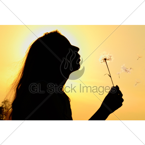 500x500 Silhouette Of Girl Blowing To Dandelion Gl Stock Images