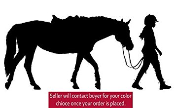 355x219 Horse Decal, Girls Bedroom Decor, Teen Room Sticker