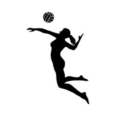 236x236 Women's Volleyball Silhouette Female Volleyball Players