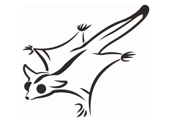 590x420 Sugar Glider Silhouette
