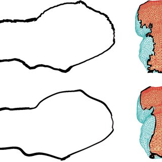 320x320 The Effect Of Removing Details. In This Image, Silhouettes