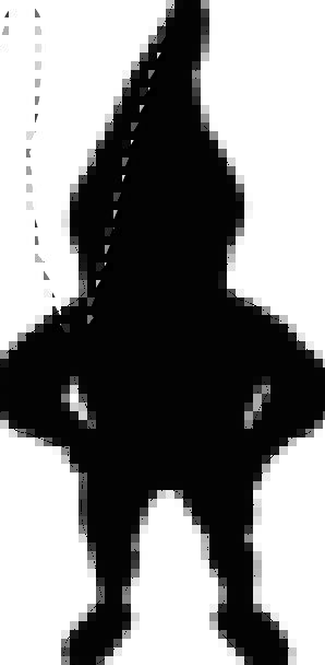 298x608 Gnome, Elf, Silhouette, Outline, Dwarf, Shadow, Gumshoe, Figure