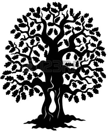368x450 Free Clipart Line Drawing Live Oak Tree Collection