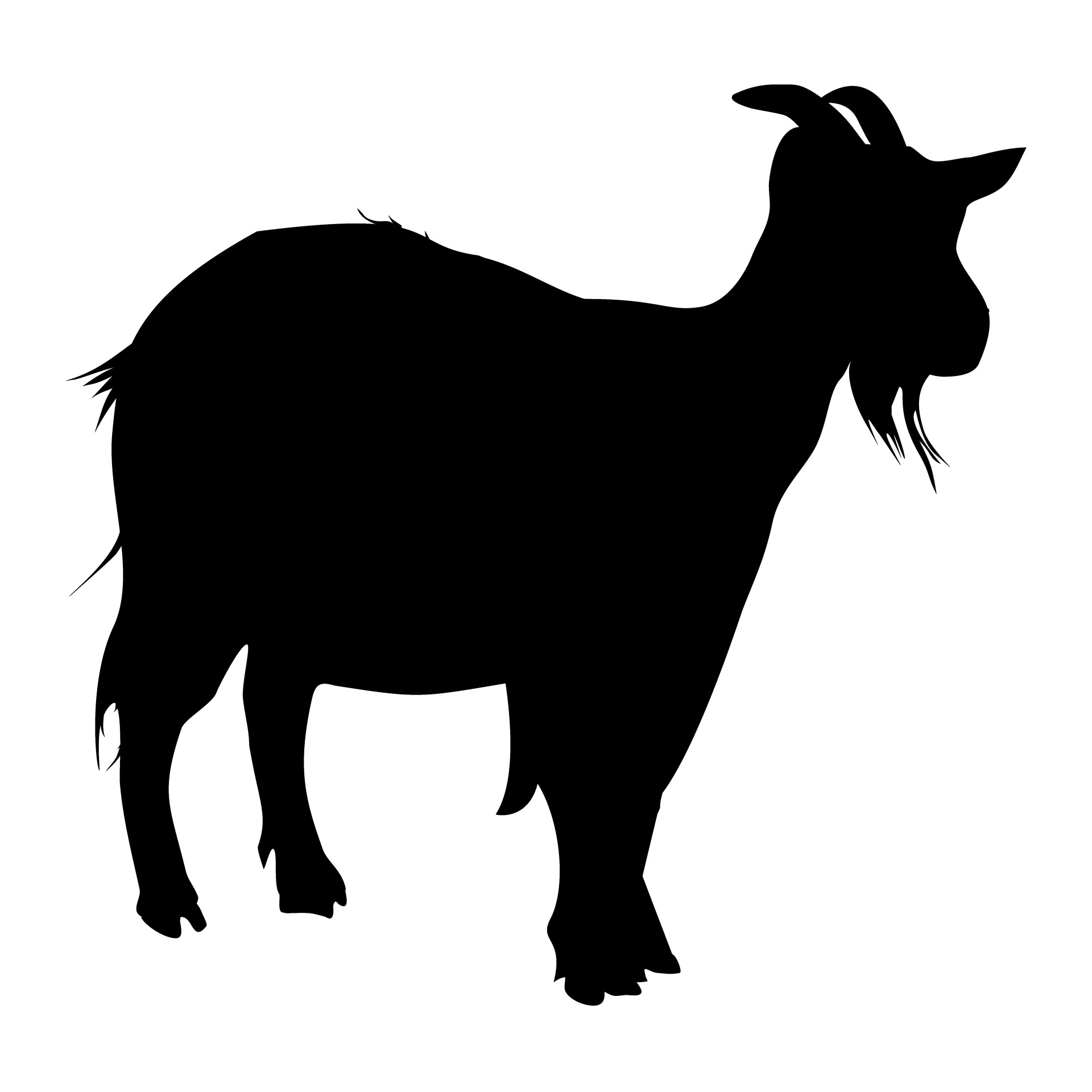 1920x1920 Goat Silhouette Free Stock Photo
