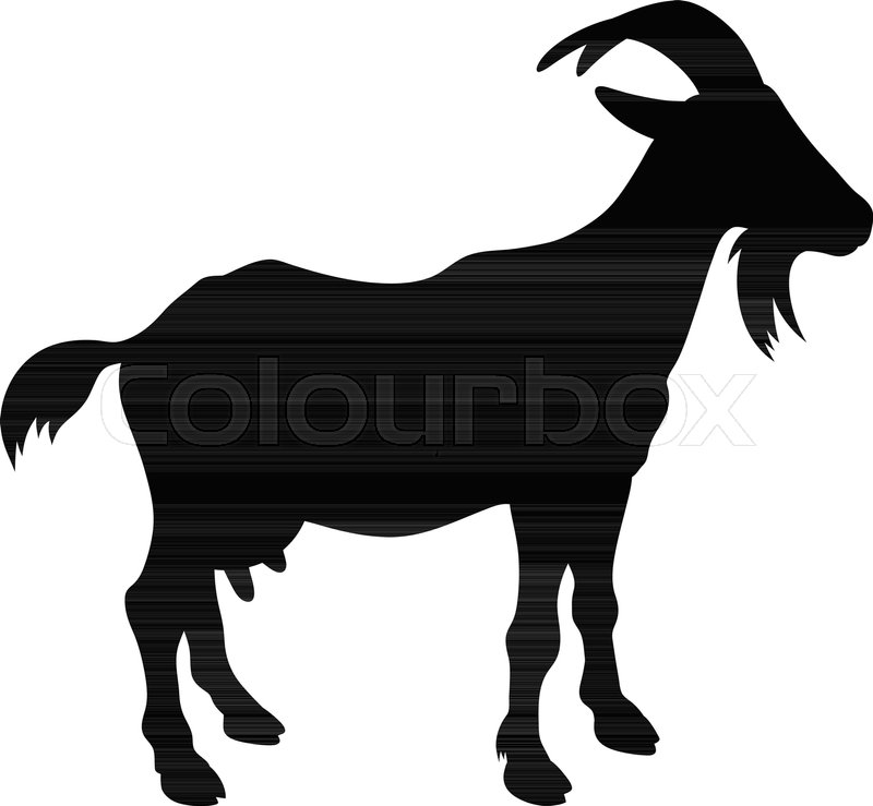 800x739 Goat Silhouette Isolated On White. Vector Illustration Stock