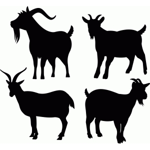 300x300 Silhouette Design Store