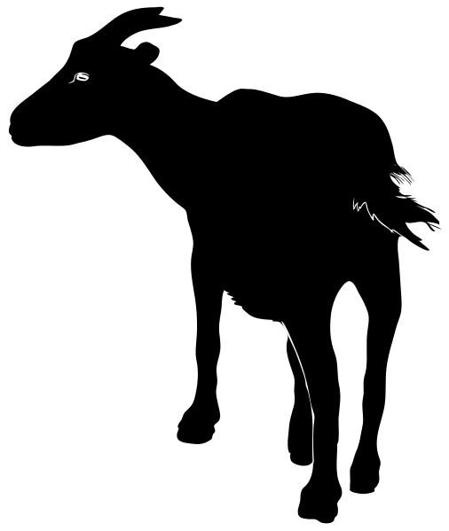 506x599 Filegoat Silhouette 02.svg