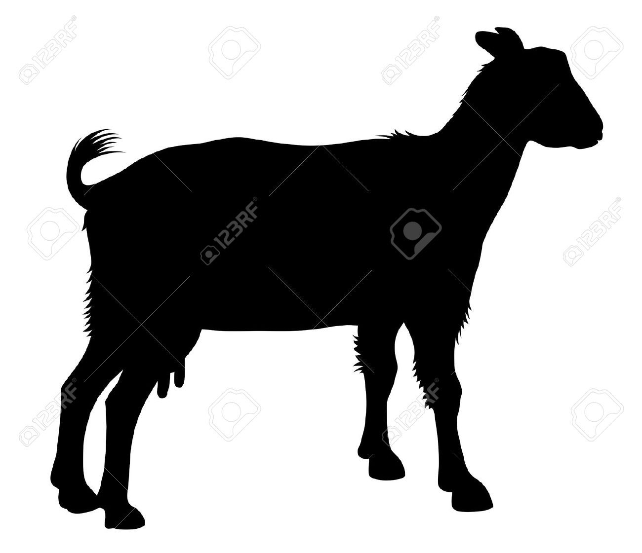 1300x1121 Detailed Vector Illustration Of Goat Silhouette Stock Vector