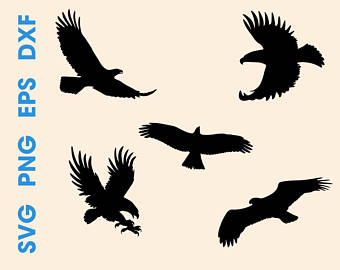 340x270 Eagle Svg Design Etsy