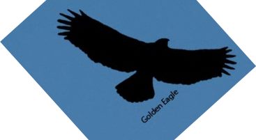 367x201 Need Some Help! Brick And Tree